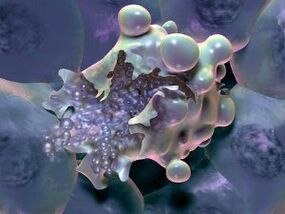The death of the cell